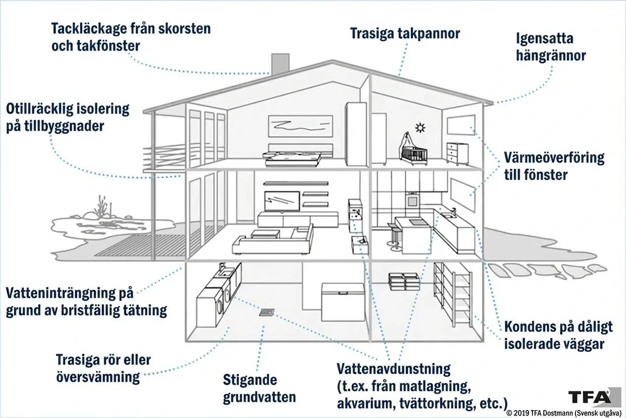 Karta över var i hemmet mögel och fukt vanligtvis bildas